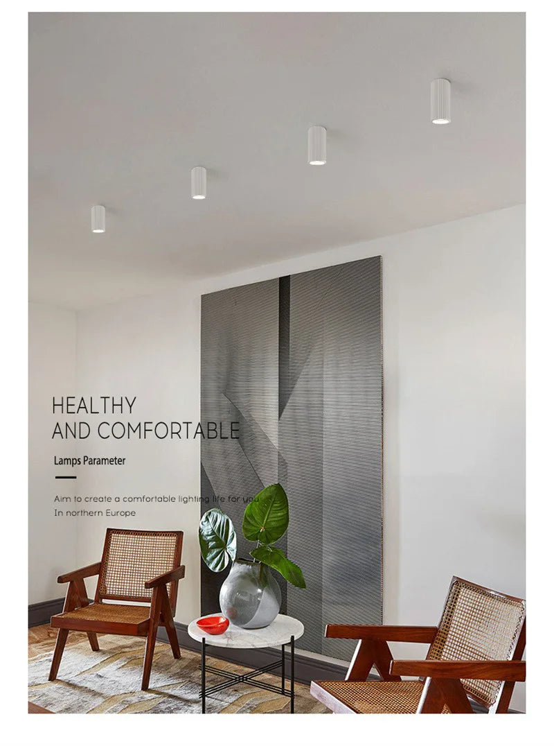 Minimalist Nordic Cylindrical Downlight Surface Mounted Resin Ceiling Lamp GU10 Grid Spotlight Corridor Living Room Home Decor