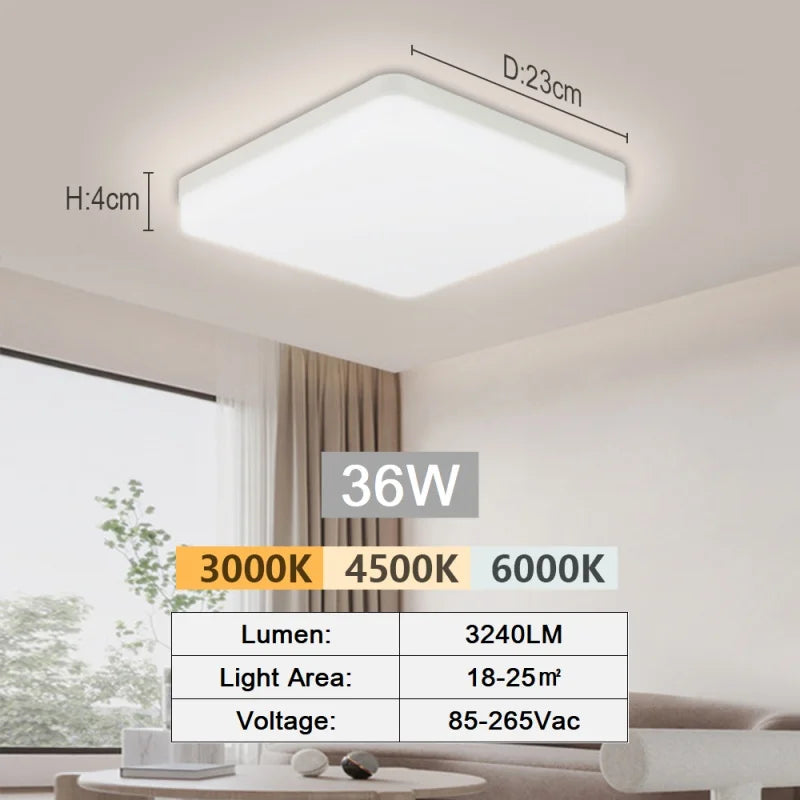 LED ceiling light ultra-thin modern light bedroom living room 18W 24W 36W 48W indoor Corridor Home Light Home lighting