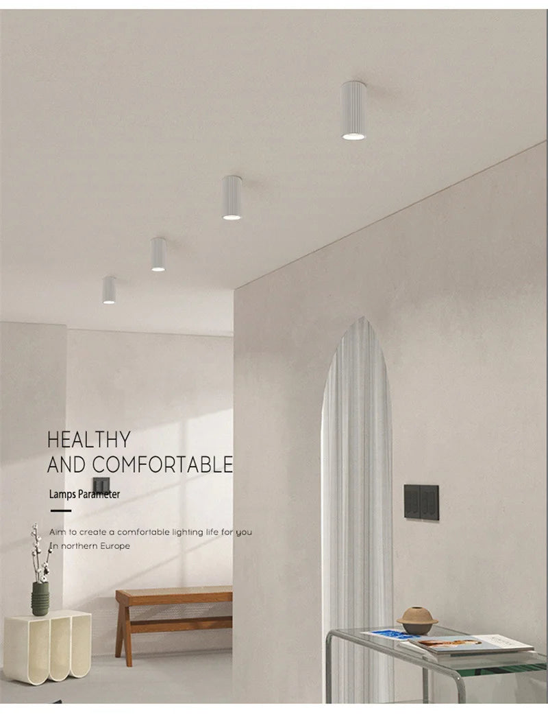 Minimalist Nordic Cylindrical Downlight Surface Mounted Resin Ceiling Lamp GU10 Grid Spotlight Corridor Living Room Home Decor