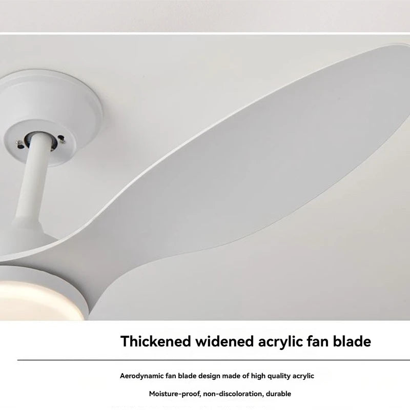 New bedroom ceiling fan light with integrated lamp and fan, study room ceiling fan light, flush mount fan light
