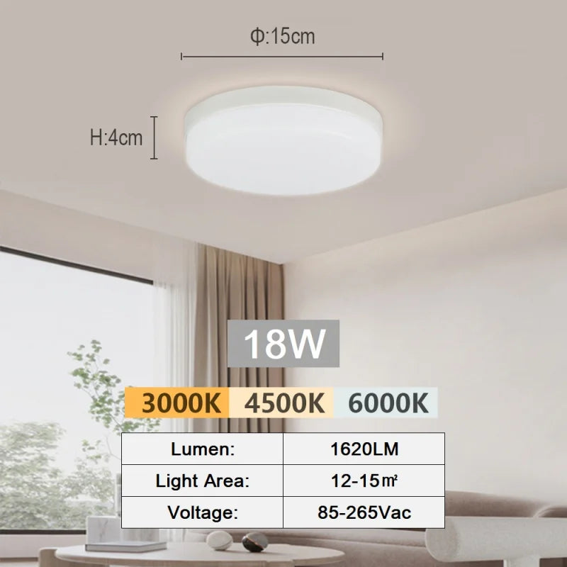 LED ceiling light ultra-thin modern light bedroom living room 18W 24W 36W 48W indoor Corridor Home Light Home lighting