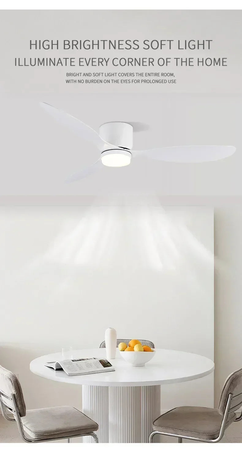 Modern Ceiling Fan, LED Light, DC Motor, High Air Volume Remote Control, Kitchen, Bedroom, Dining Room, Terrace, Pendant Light