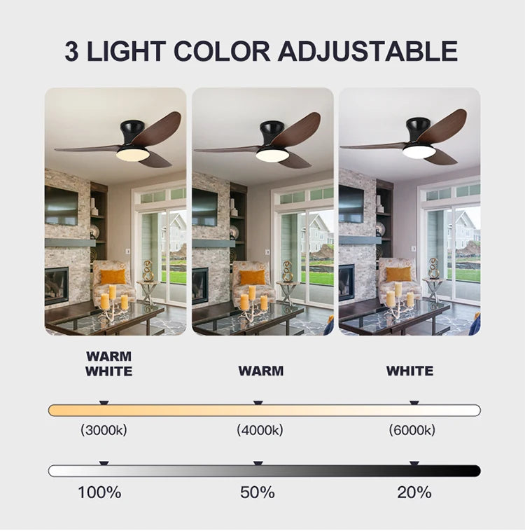 Bedroom fan light, ceiling fan light, high wind power ceiling, dining room, living room, household integrated ceiling, electric