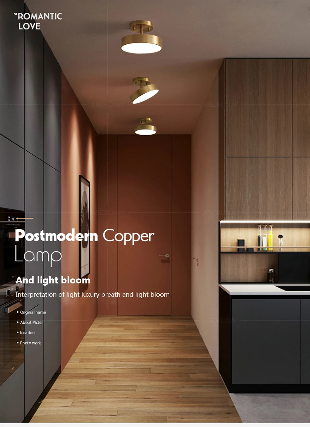 Modern LED Ceiling Light Copper Lamp For Bedroom Living Room Light Nordic Round Gold Black Entryway Corridor Aisle Decor Fixture