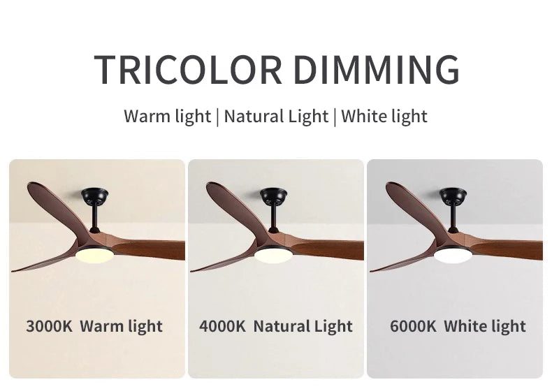 Low Floor Modern Ceiling Fans No Light 42Inches DC Motor Reversible Blades Remote Control Led Fans Lamp With Lights