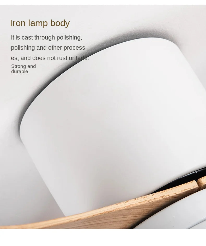 Modern Black White Low Floor DC Motor 30W Ceiling Fans With Remote Control Simple Ceiling Fan Without Light Home Fan