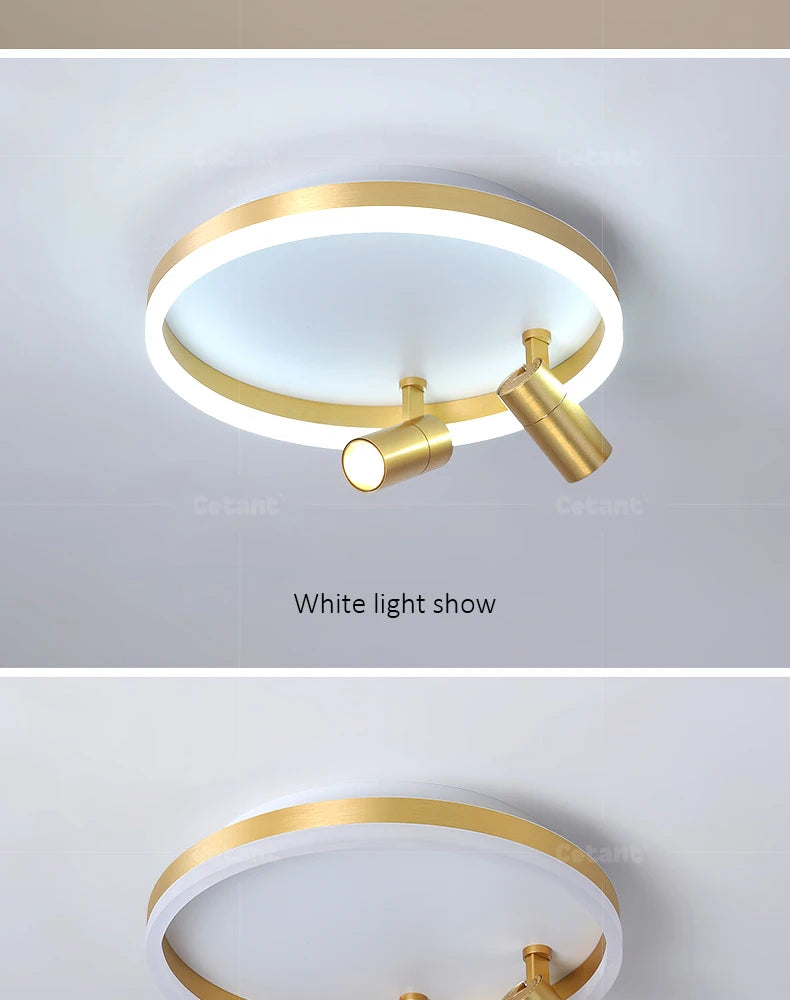 Modern LED Ceiling Lamp With Spotlight Chandelier For Bedroom Living Dining Room Aisle Home Decor Indoor Lighting Fixture Luster